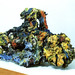 Glenn Browning Photo 8