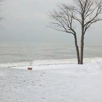 Allen Crowe Photo 15