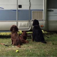 Sadie King Photo 20