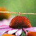 Steven Endres Photo 19