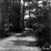 Beverly Gordon Photo 14