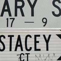 Gary Stacey Photo 24