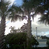 Suzanne Keene Photo 9
