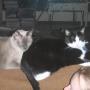 Beth Thornton Photo 48