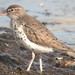 Michael Topp Photo 28