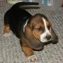 Brenda Chandler Photo 31