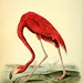 John Chevalier Photo 38