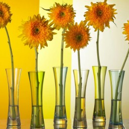 Paula Frank Photo 37