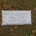Thomas Lupton Photo 27