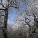 Helen Storm Photo 7