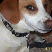 Jack Dobson Photo 16