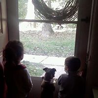 Colleen Slater Photo 17