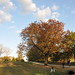 Clifton Cox Photo 18