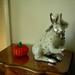 Luke Roth Photo 18