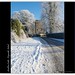 Geraldine Winters Photo 14