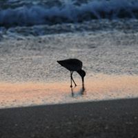 Laurie Henson Photo 8