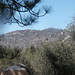 Kimberly Faulkner Photo 14