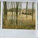 Vicki Woods Photo 12