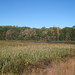 Harvey Reed Photo 11