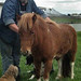 Bobbie Magee Photo 7