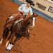 Kelli Bradshaw Photo 27