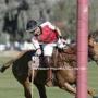 Juan Gonzales Photo 18