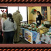 Carol Gaston Photo 17