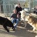 Kathy Wolf Photo 22