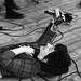 Frances Rowe Photo 23