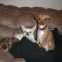 Nancy Bosch Photo 31