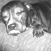 Cheryl Childers Photo 17