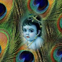 Babita Chopra Photo 8