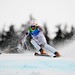 Dan Gauthier Photo 47