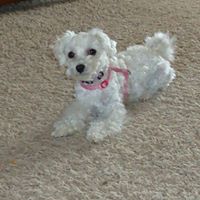 Donna Lowry Photo 14