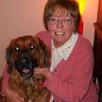 Bonnie Hunter Photo 37