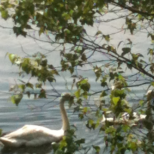 Kathy Rayner Photo 20