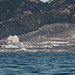 Luis Avila Photo 9