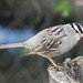 Judith Sparrow Photo 14