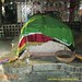 Syed Saqib Photo 34