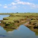 Brandy Marsh Photo 21