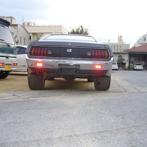 Robert Mcnabb Photo 10