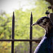 Rebecca Peacock Photo 21