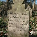 Thomas Arrington Photo 11