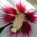 Sharon Newton Photo 5