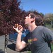 Mark Mahoney Photo 50