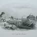 Terry Frederick Photo 24