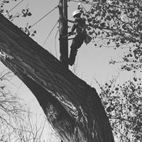 Brian Winter Photo 46