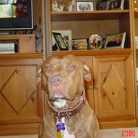 Elizabeth Reiser Photo 14
