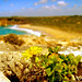 Summer Childers Photo 10