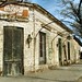 Andres Paredes Photo 31